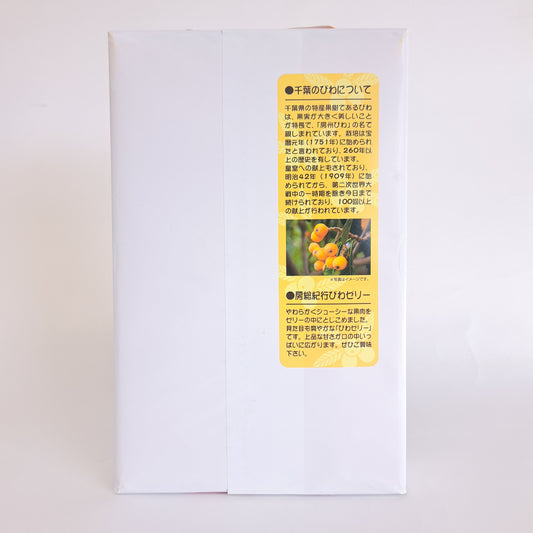 房総紀行びわゼリー12個入