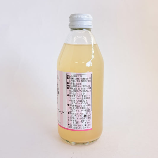 八街生姜ジンジャーエールライト